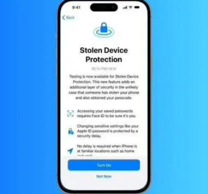 天水苹果授权维修店分享被盗设备保护功能开启方法 