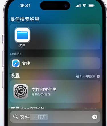 天水apple维修中心分享iPhone文件应用中存储和找到下载文件 