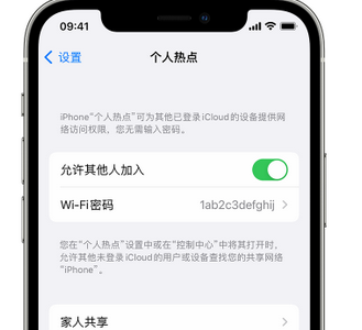 天水apple服务站点分享iPhone上个人热点丢失了怎么办 