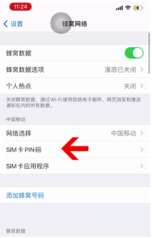 天水苹果14维修网分享如何给iPhone14的SIM卡设置密码 