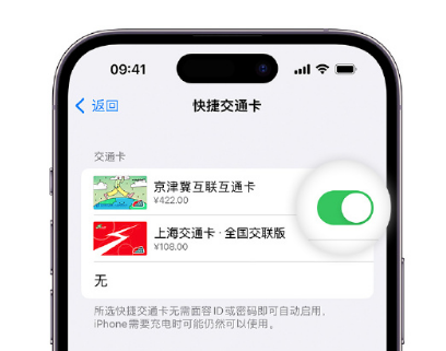 天水apple维修点分享iPhone上更换Apple Pay快捷交通卡手绘卡面 