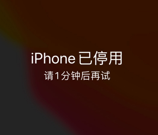 天水苹果手机维修分享:iPhone 显示“不可用”或“已停用”怎么办？还能保留数据吗？ 