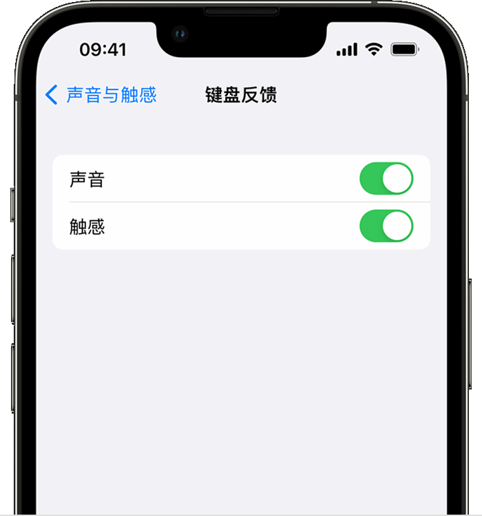 天水苹果14维修店分享如何在 iPhone 14 机型中使用触感键盘 