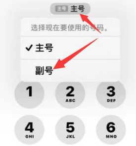 天水苹果14维修店分享iPhone 14 Pro Max使用副卡打电话的方法 