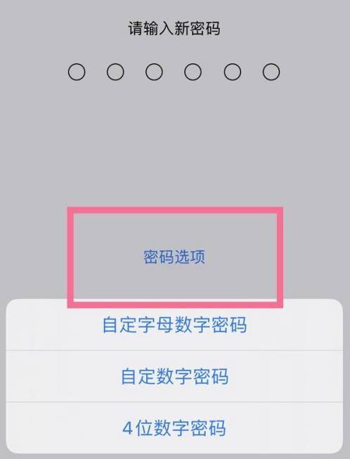 天水苹果14维修分享iPhone 14plus设置密码的方法 