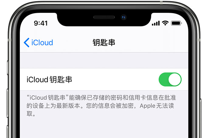 天水苹果手机维修分享在 iPhone 上开启 iCloud 钥匙串之后会储存哪些信息 