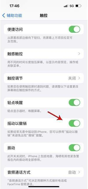 天水苹果手机维修分享iPhone手机如何设置摇一摇删除文字 